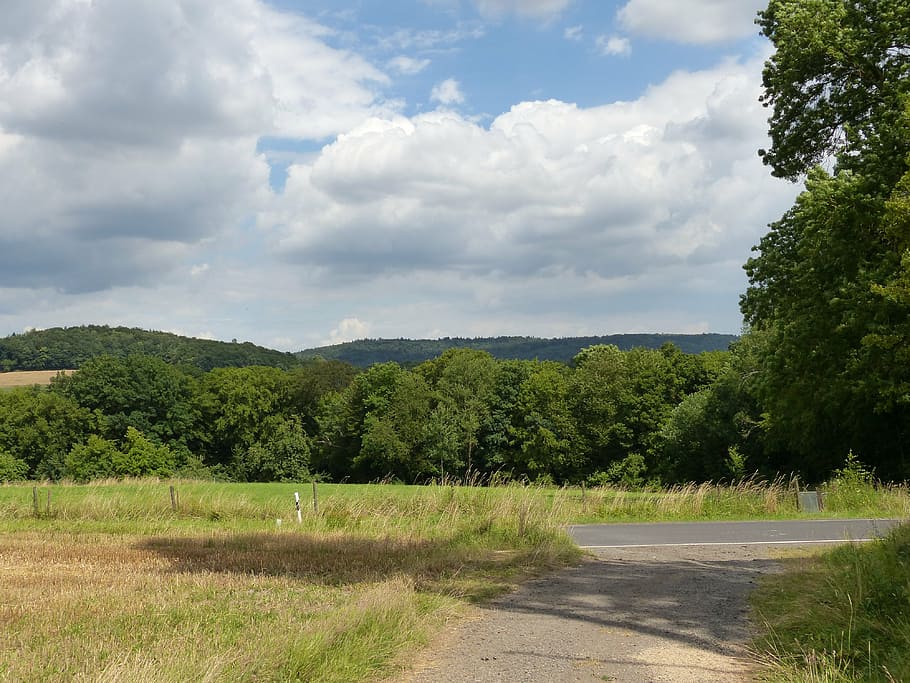 summer, hate mountains, upper franconia, forest, plant, cloud - sky HD wallpaper