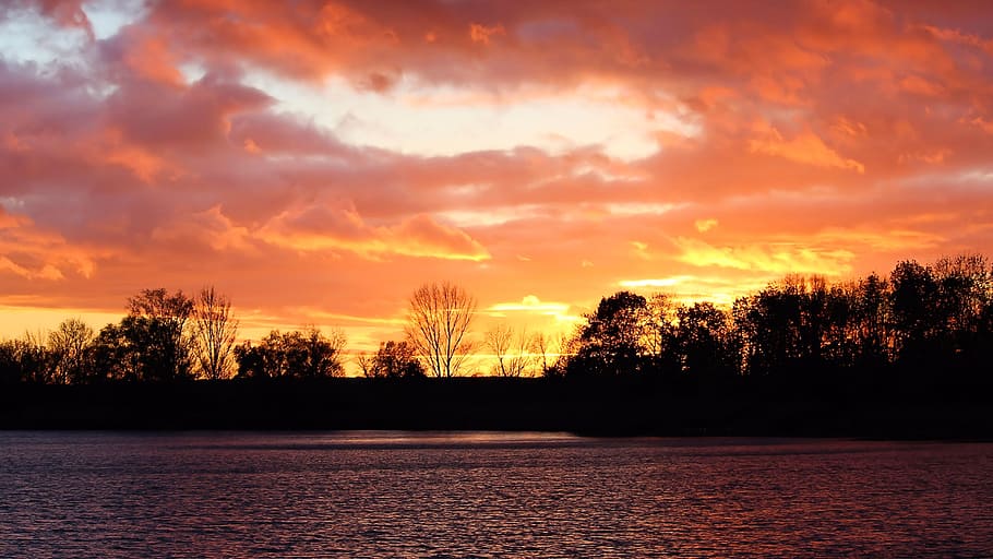 Sunset, Evening, Sky, Trees, afterglow, evening sky, silhuette HD wallpaper