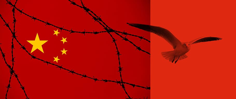 china, flag, barbed wire, dom, seagull, human rights, people's republic of, HD wallpaper