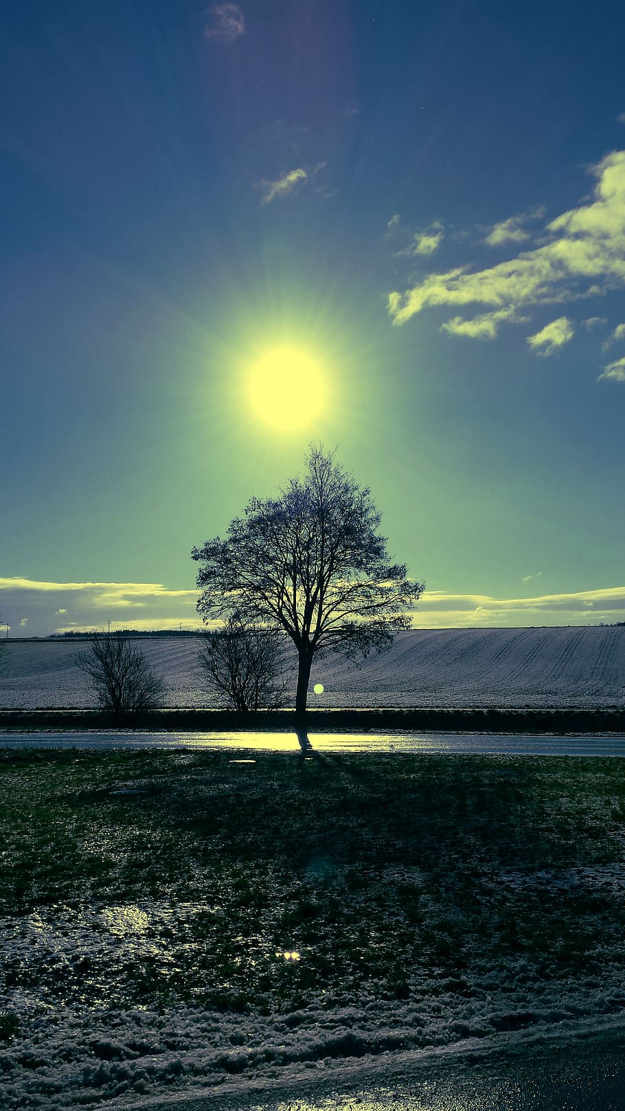 sun, tree, sky, mood, back light, nature, weinviertel, lower austria HD wallpaper
