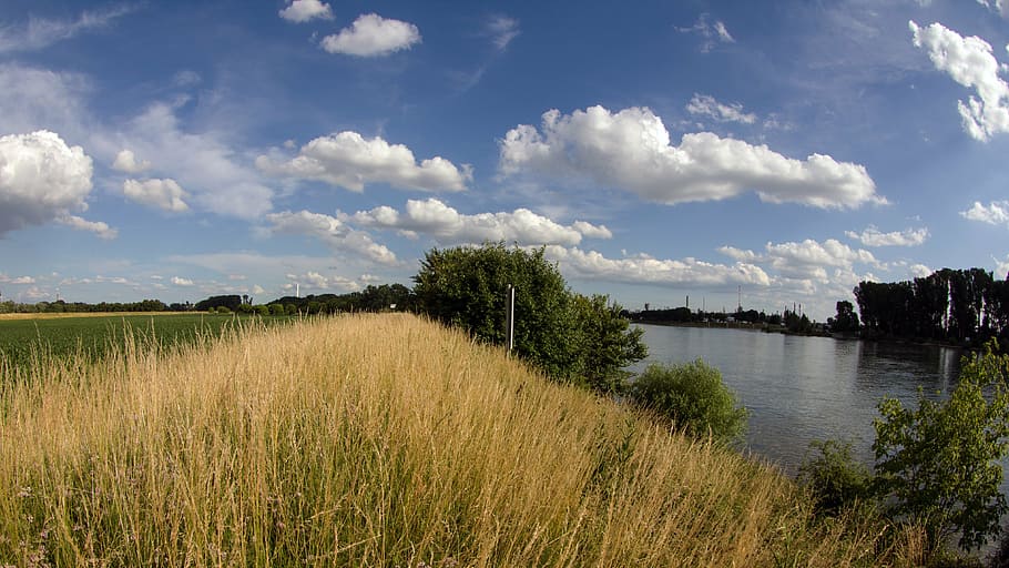 landscape, rhine, clouds, field, summer sky, dike, river, plant HD wallpaper