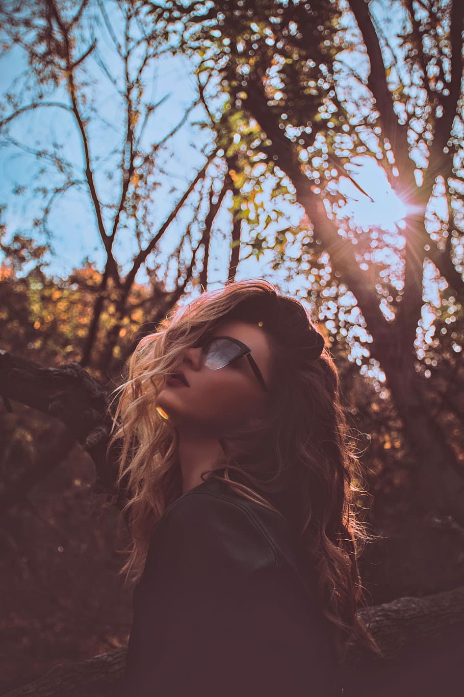 woman wearing sunglasses near trees during daytime, woman in black frame clubmaster eyeglasses with trees background HD wallpaper