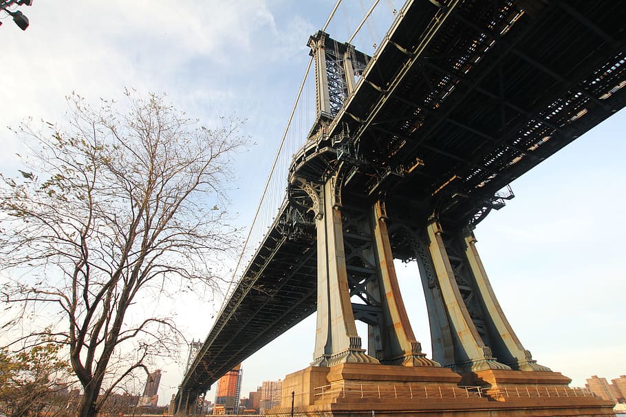bridge, tree, cable bridge, architecture, built structure, sky HD wallpaper