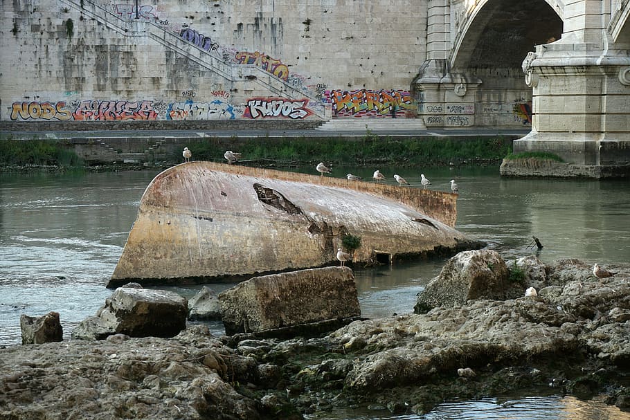 rome, wreck, tiber, river, italy, bridge, gulls, dirty, pollution HD wallpaper