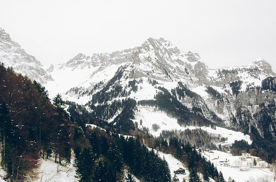 mountains, winter, trees, forest, adventure, travel, landscape HD wallpaper