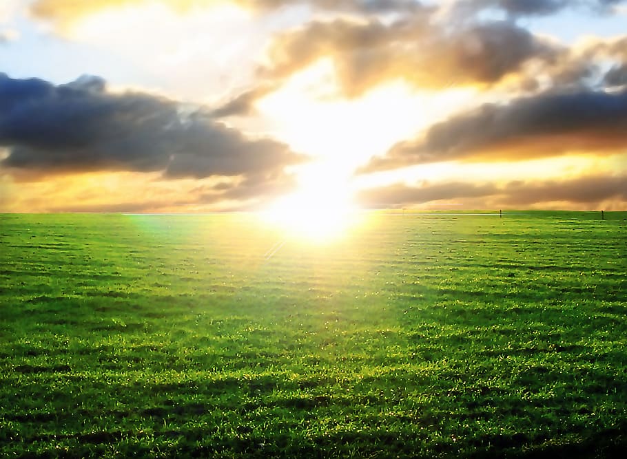 green grass field under orange and gray sky during golden hour HD wallpaper