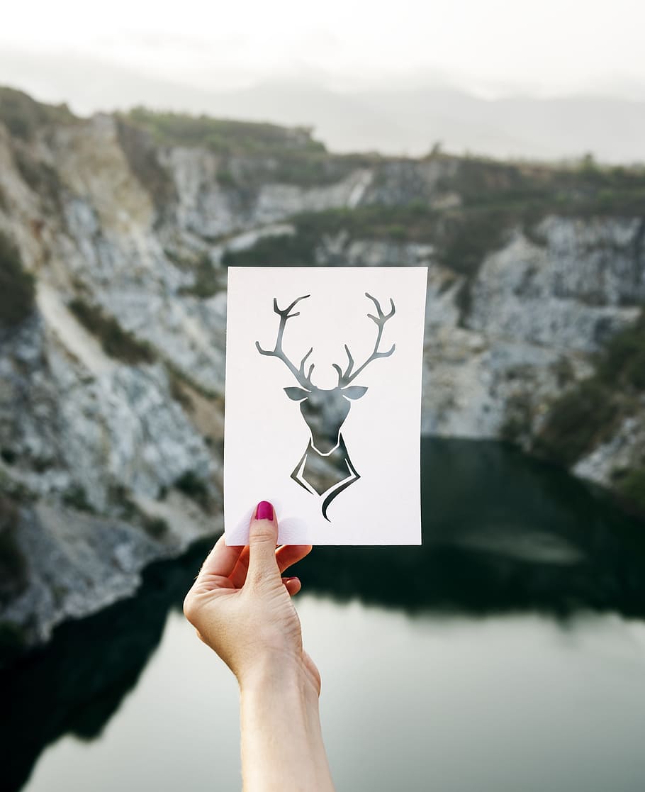 selective focus photography of woman holding deer vector, calm HD wallpaper