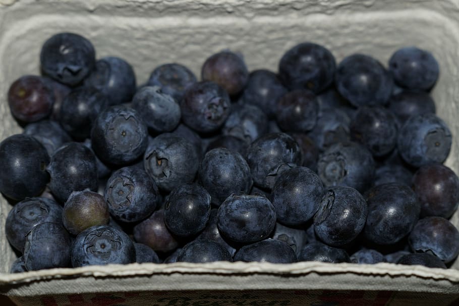 blueberries, shell, fruits, delicious, vitamins, healthy, sweet HD wallpaper