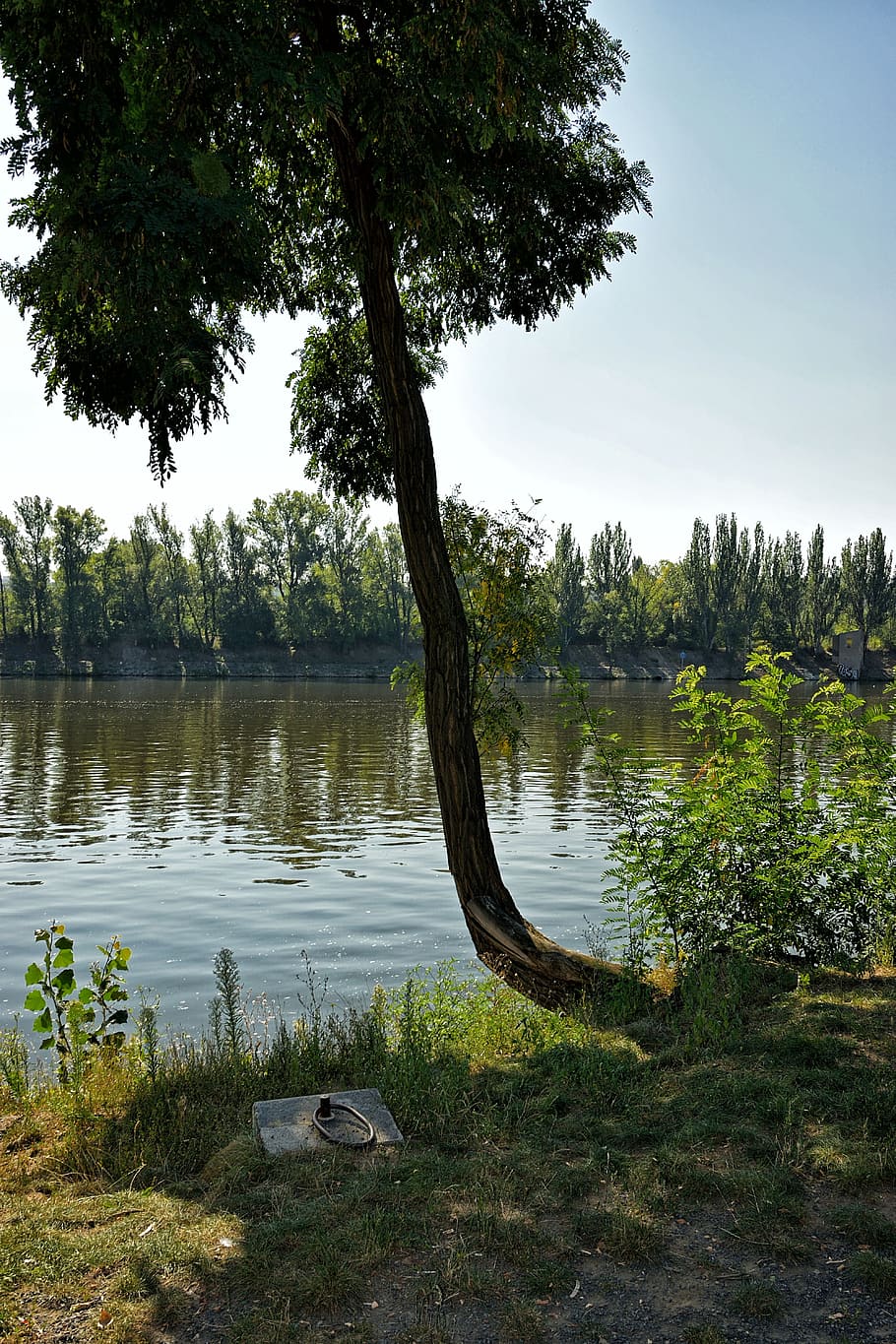 Vltava, Tree, Peace, Rest, Anchorage, river, czech republic HD wallpaper