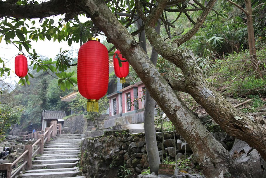 red lantern, tree, ladder, xinxing, tibetan buddhism pit, temple HD wallpaper