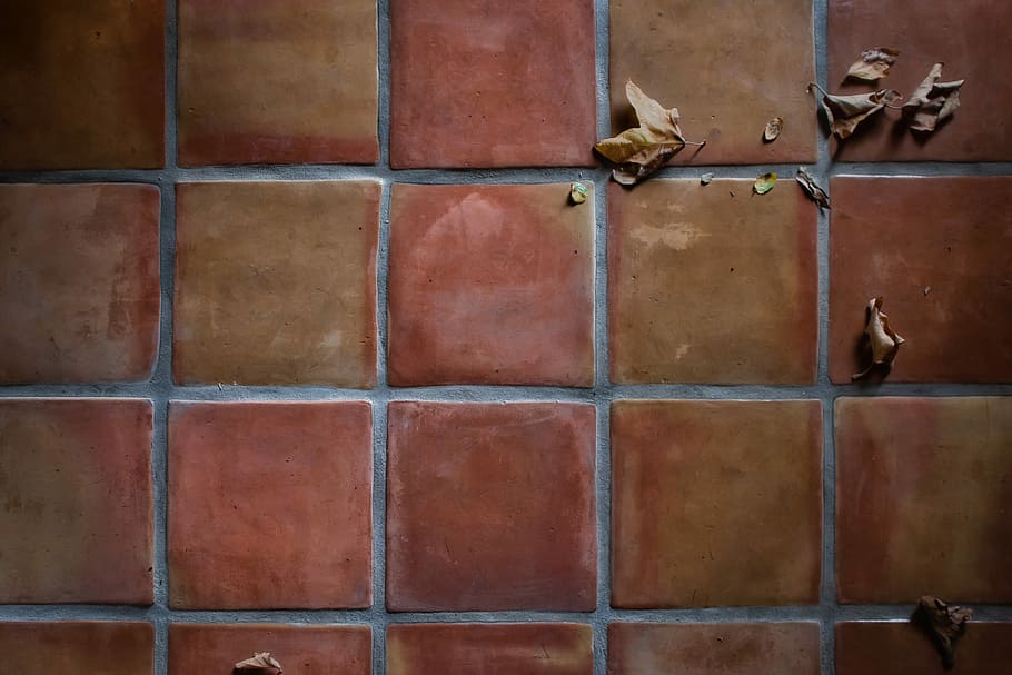 brown dried leaves on brown tiles, floor, leaf, autumn, architecture HD wallpaper