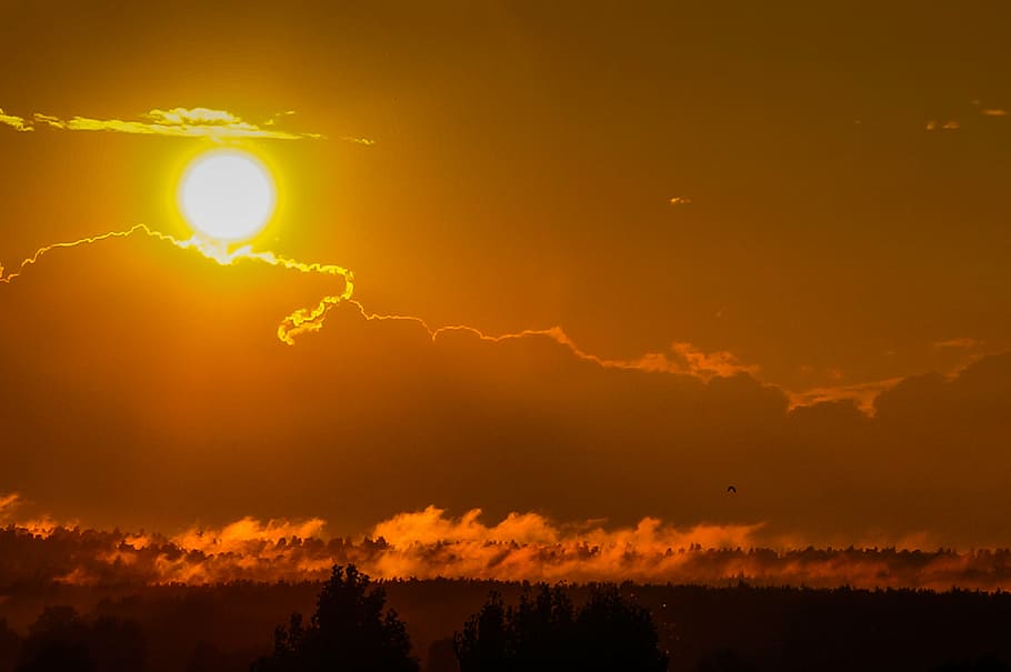 sun, sunset, summer, orange, ukraine, nature, sky, dusk, beauty in nature HD wallpaper