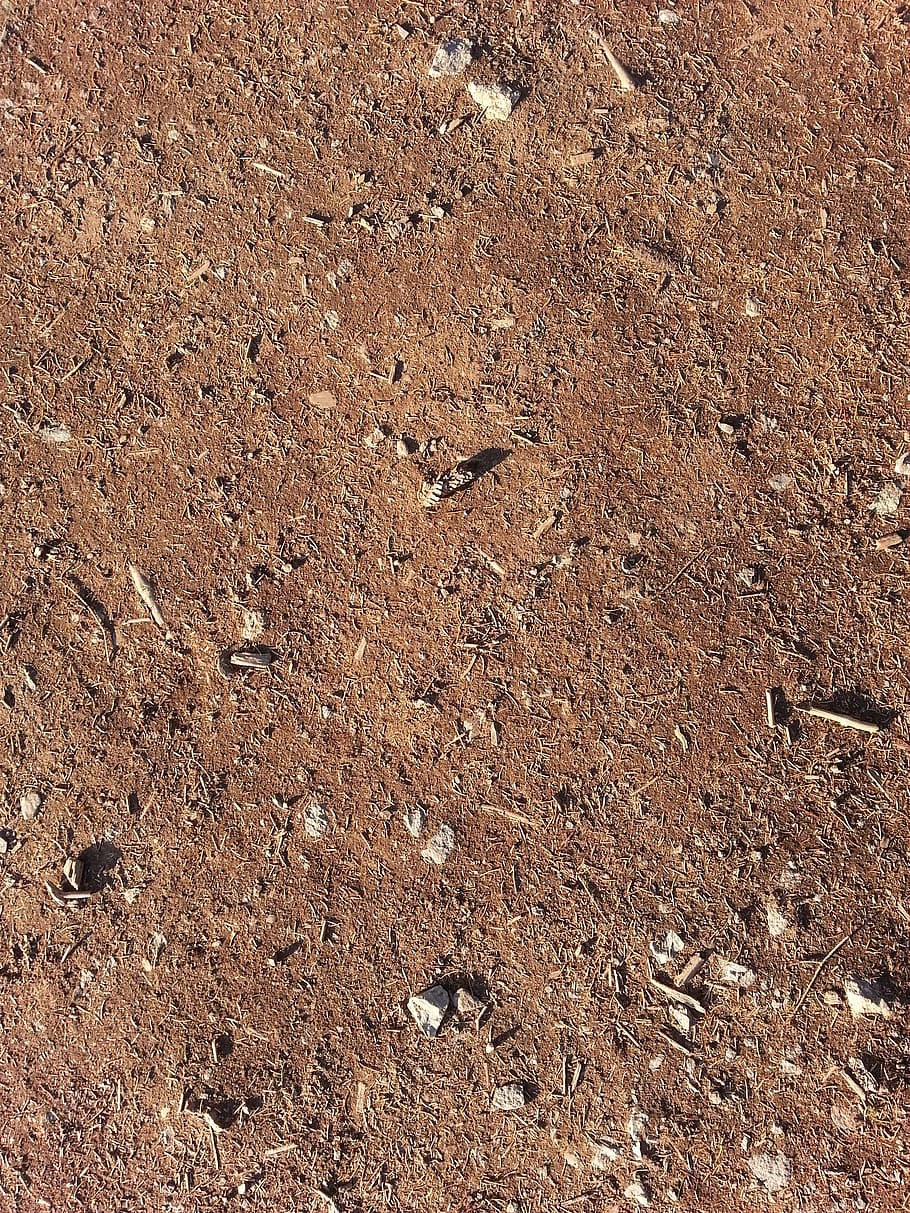 forest floor, background, stones, underground, brown, texture HD wallpaper