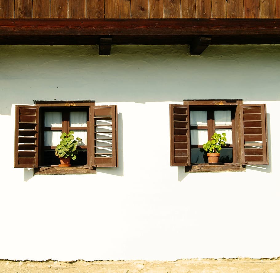 green leafed plant on brown wooden window, windows, rural, rustic HD wallpaper