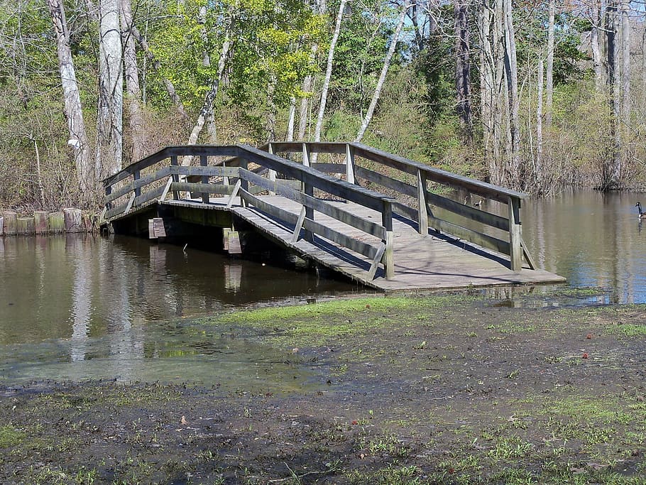park, bridge, nature, landscape, scenic, usa, natural, water HD wallpaper