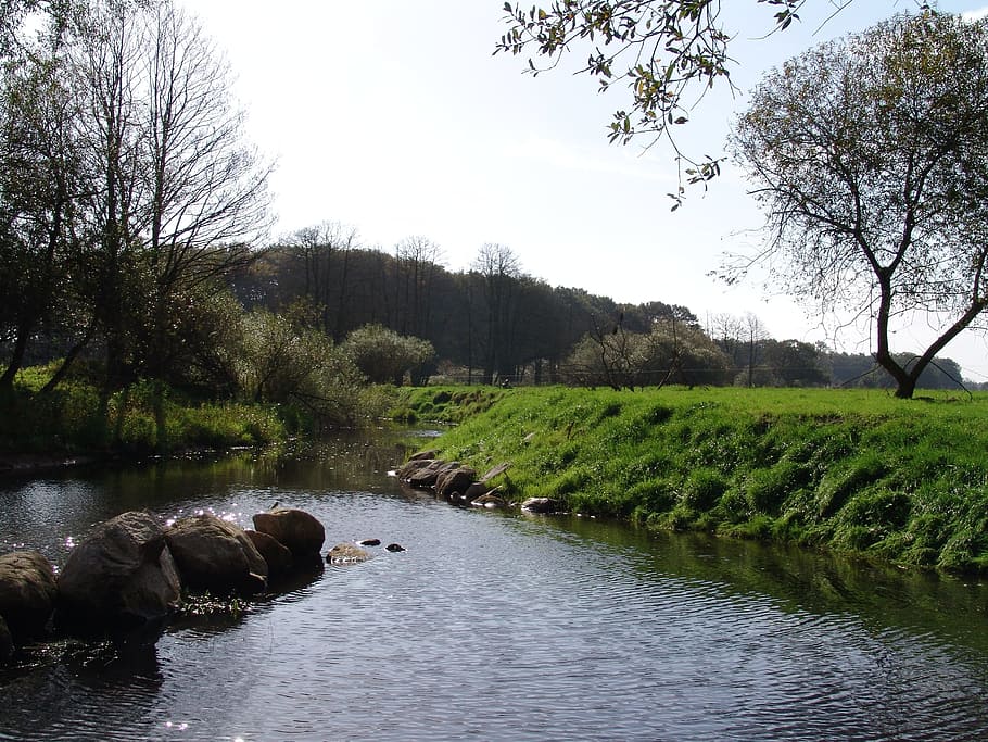 River, Water, Depression, tree, tranquility, nature, scenics HD wallpaper