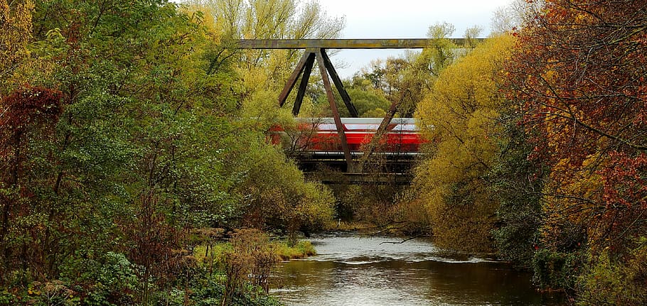 river, bridge, railway bridge, train, autumn, train on bridge HD wallpaper
