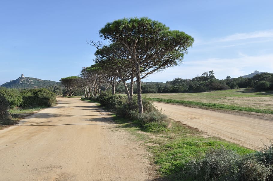 sardinia, landscape, steinig, plant, tree, road, sky, dirt road HD wallpaper