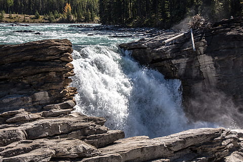 Athabasca Falls, Waterfall, Canada, jasper, park, national HD wallpaper