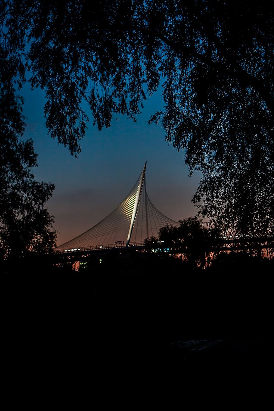 bridge, web, space, travel, architecture, city, night, urban HD wallpaper
