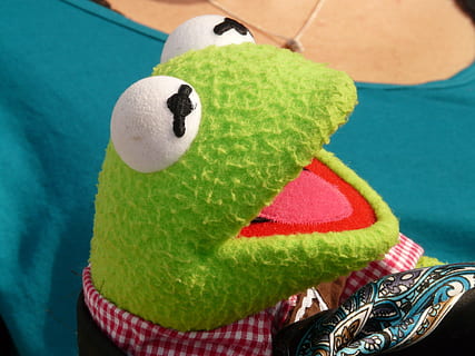 kermit, frog, green, doll, figure, laugh, curious, joy, children HD wallpaper