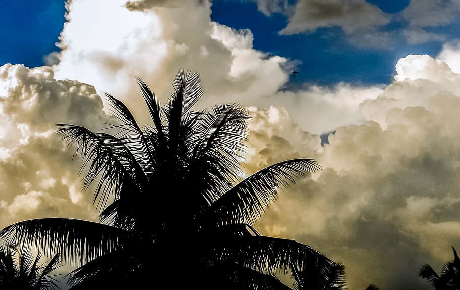 clouds, sky, tree, leaves, landscape, weather, blue, season HD wallpaper