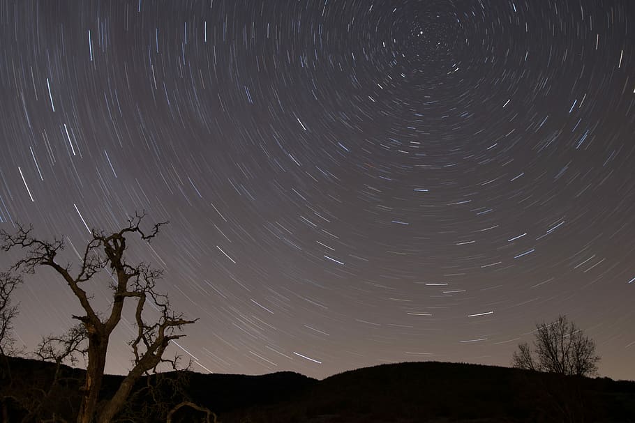 milky way galaxy sky, photography of star trail, tree, night HD wallpaper