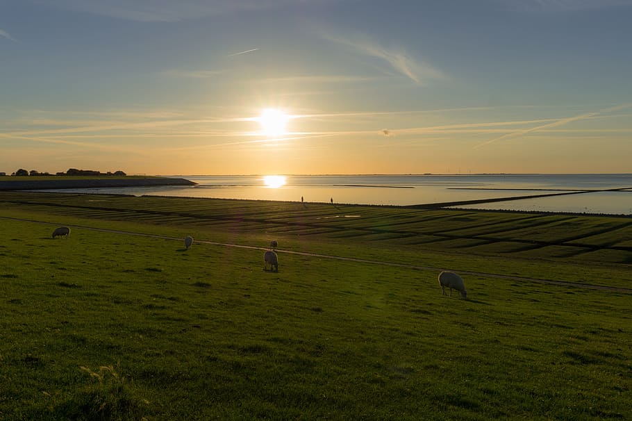 sunset, dawn, nature, landscape, north beach, dike, nordfriesland HD wallpaper