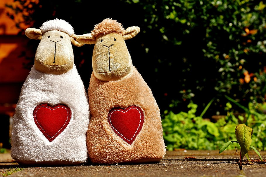 white and brown sheep plush toys