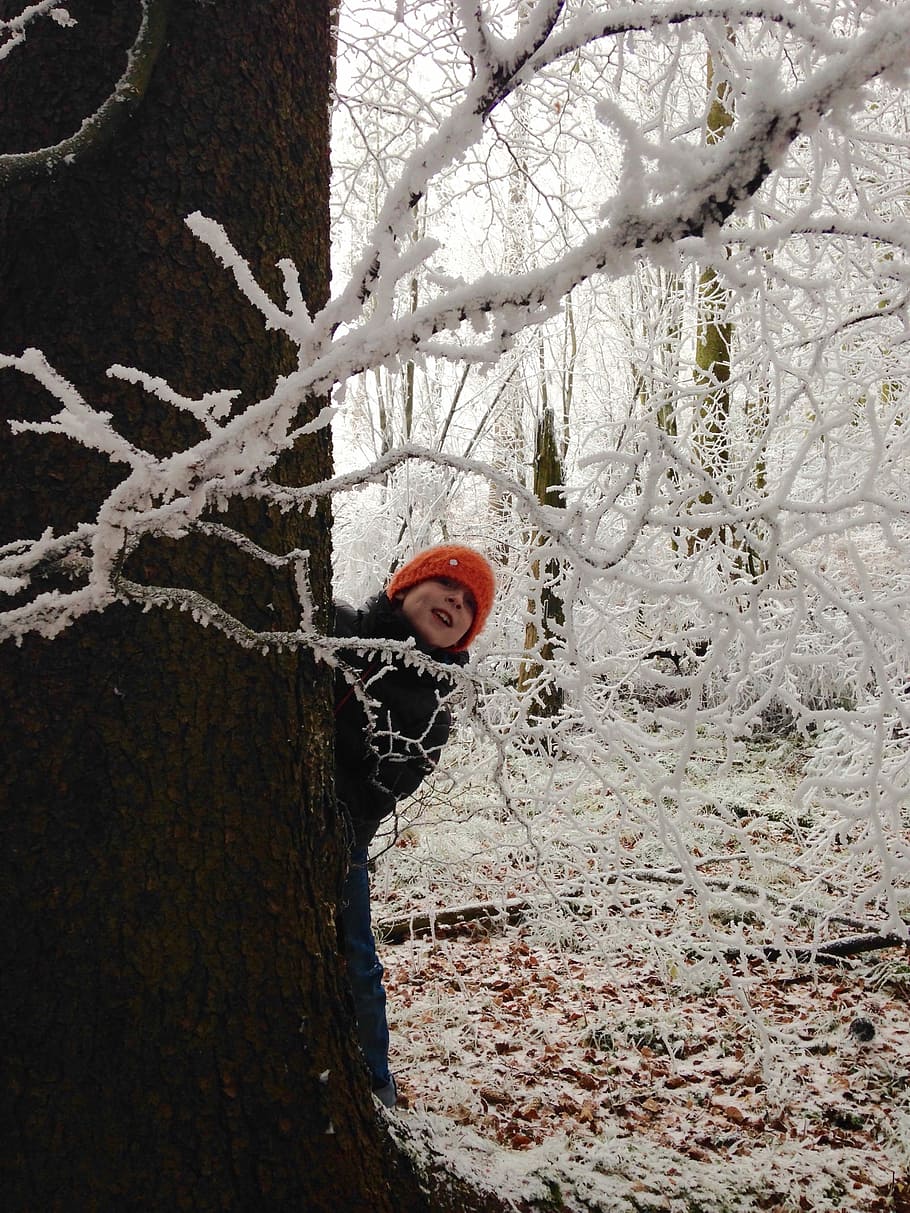 Child, Winter, Forest, winter forest, snow, tree, cold temperature HD wallpaper