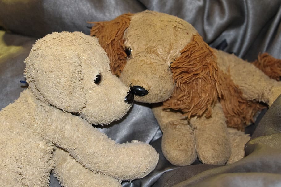 wuffi, bello, dog, soft toy, teddy bear, stuffed animal, children, HD wallpaper