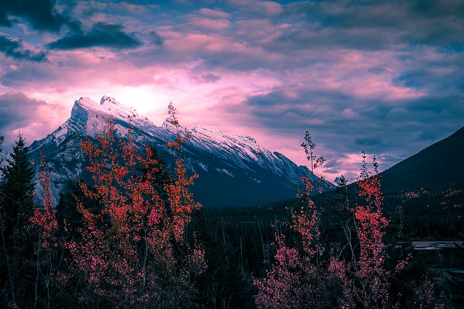 mountain during golden hour, landscape photography of trees and mountain HD wallpaper