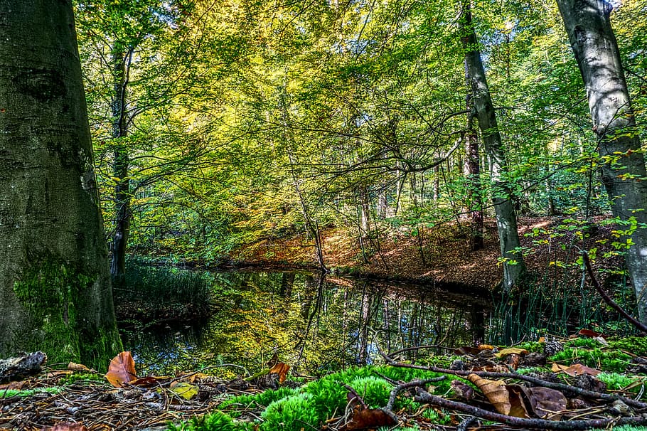 water, mirroring, reflection, mood, contrast, hdr, high dynamic range HD wallpaper