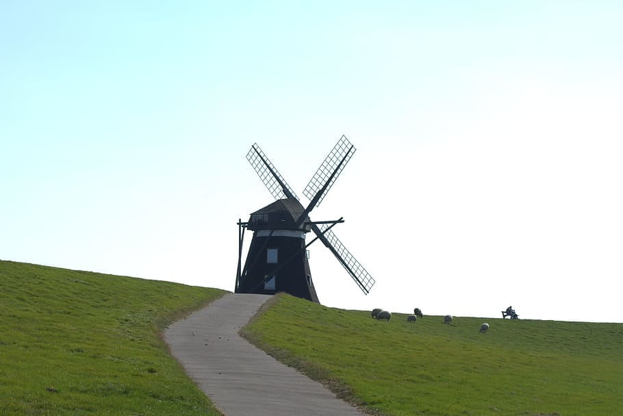 Norder, Mill, norder mill, pellwormer mill, windmill, north sea HD wallpaper