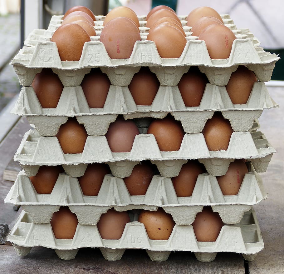 egg, chicken eggs, egg carton, lots of eggs, egg packaging, HD wallpaper