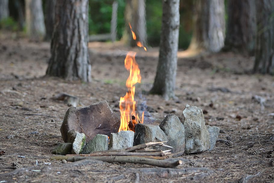 gray stone with fire, forest, stones, nature, bonfire, burning HD wallpaper
