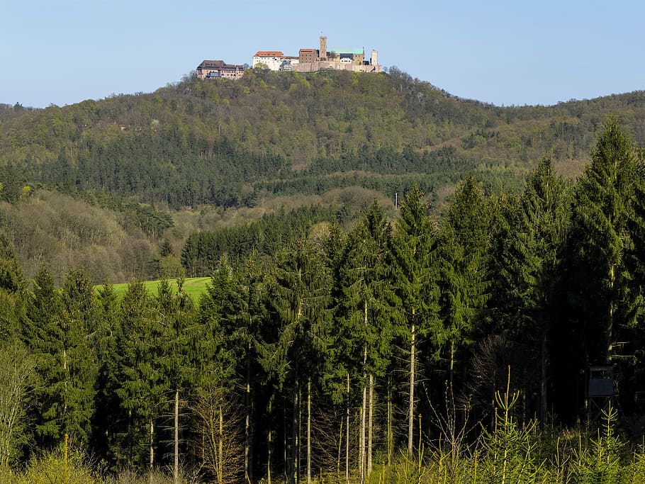 Wartburg Castle, Luther, Eisenach, thuringia germany, junker jörg HD wallpaper