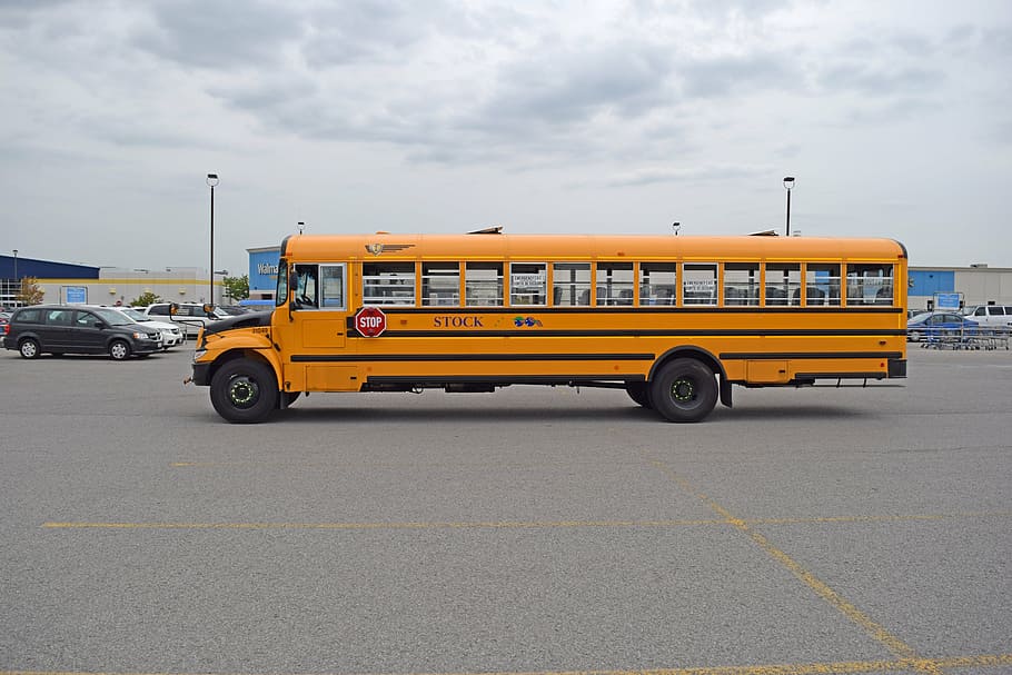 yellow bus parked on parking area, side, long, school, transportation
