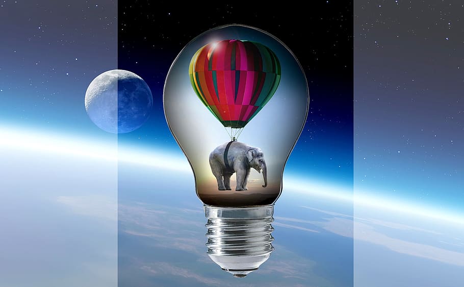 elephant with hot hair balloon bulb artwork, pear, light bulb