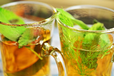 photo of clear glass teacups, herbal tea, herbs, tee, mint HD wallpaper