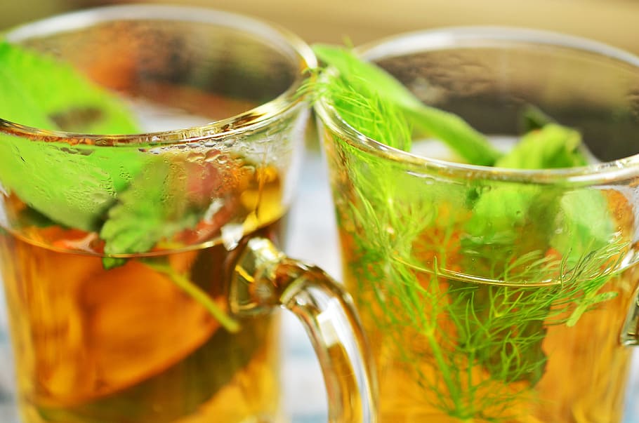 photo of clear glass teacups, herbal tea, herbs, tee, mint HD wallpaper