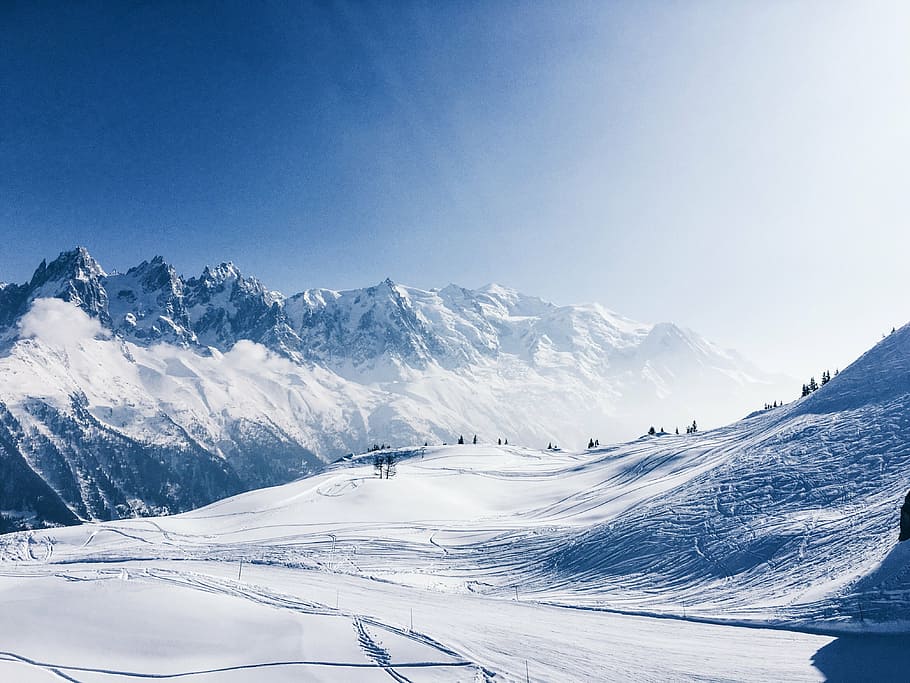 trees with snow at daytime, photography, snowy, mountains, nature HD wallpaper