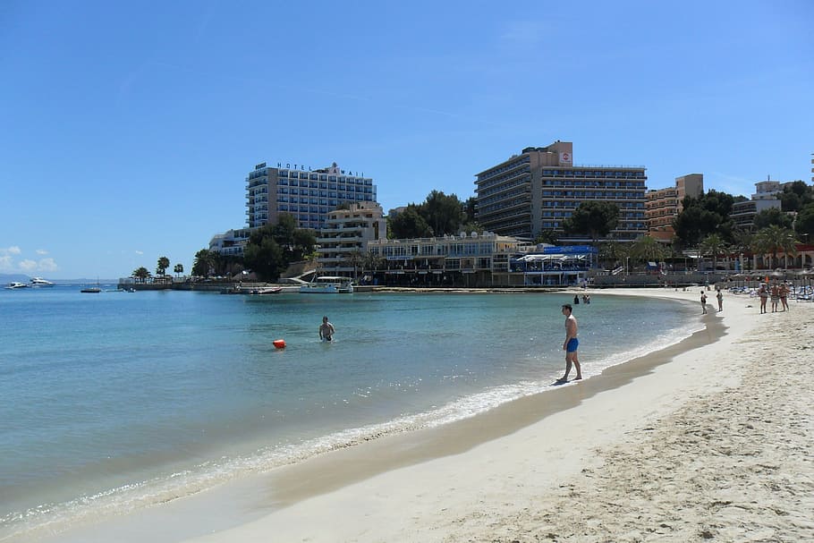 man standing beside seashore, majorca, palm trees, palma, beach HD wallpaper