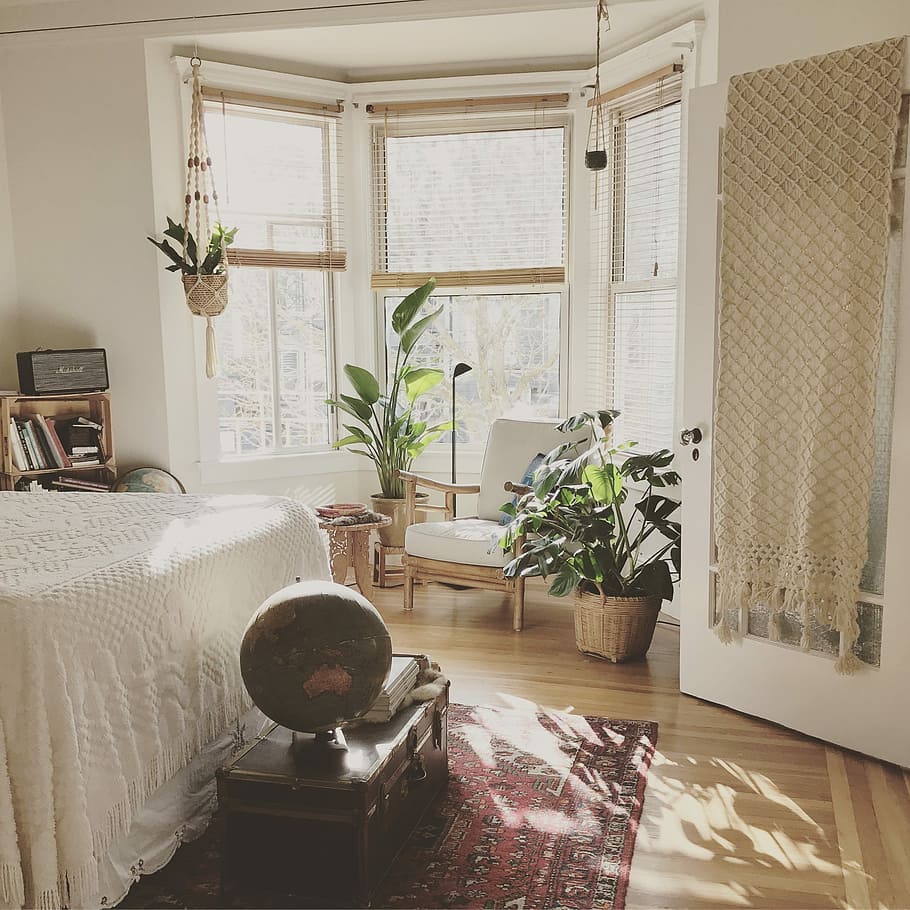 brown wooden framed white padded chair in between green indoor leaf plants inside bedroom, brown globe on top of storage trunk during daytime, HD wallpaper