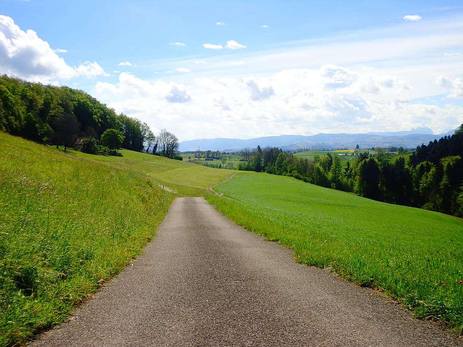 away, spring, switzerland, plant, cloud - sky, grass, road HD wallpaper