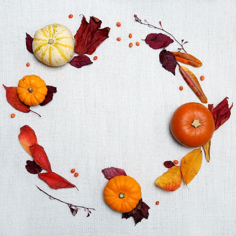 An Autumnal Wreath, photo of pumpkin, fall, gourde, leaves, food and drink HD wallpaper