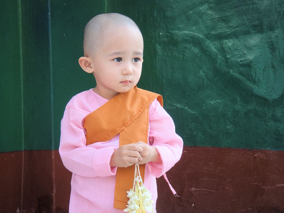 child, myanmar, burma, monk, sweet, diffident, girl, nun, pink, HD wallpaper