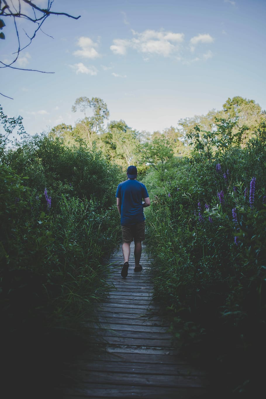 man in blue T-shirt walking beside green leafed plants during daytime HD wallpaper