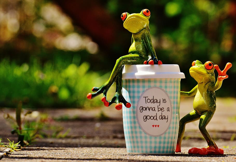 beautiful day, joy, frog, coffee, cup, happy, happiness, start, HD wallpaper