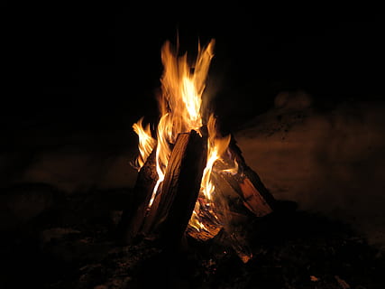 close up photo of bonfire, flames, campfire, burn, blaze, wood HD wallpaper
